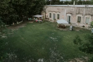 Dall'alto